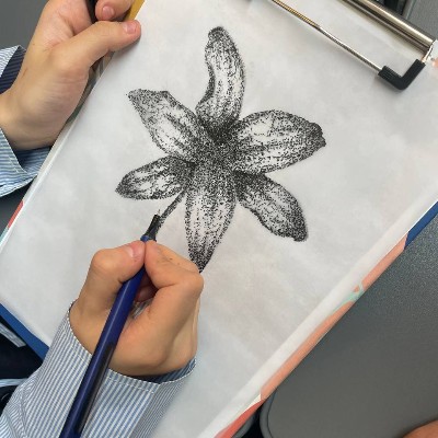 هنرمندان طوبی