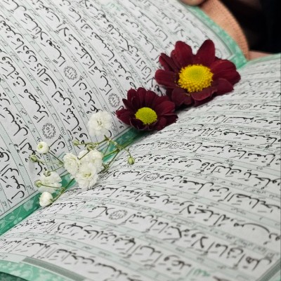 جشنواره سدرة المنتهی