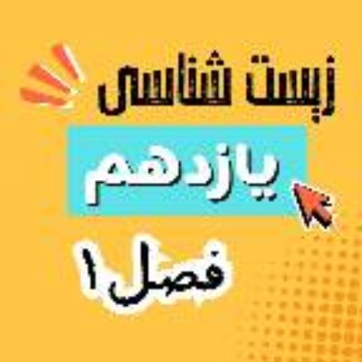 زیست شناسی یازدهم فصل ۱