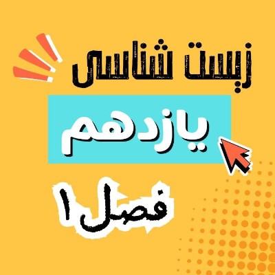 زیست شناسی یازدهم فصل 1