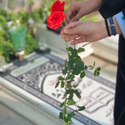 قراردلی با شهدا