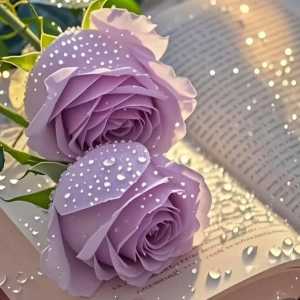 خانم مشرف پور